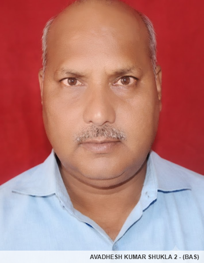 Member