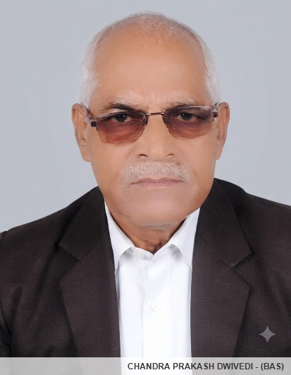 Member