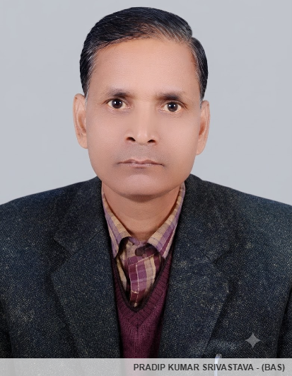 Member